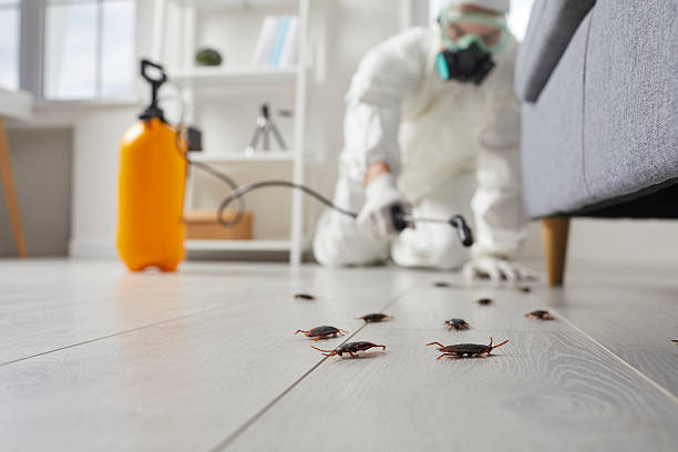 Trusted Fumigation Services service in Hodgkins, IL - Nex Pest Control